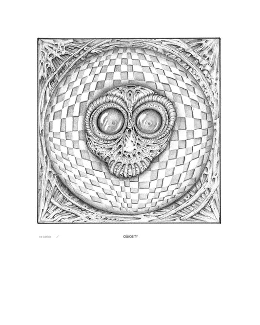 Curiosity - Limited Edition Print